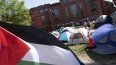 Estudiantes de la Universidad George Washington en un campamento de protesta contra la guerra entre Israel y Hamás el jueves 2 de mayo de 2024, en Washington.&nbsp;