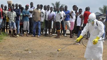 experto no cree que se registre epidemia de ebola en espana