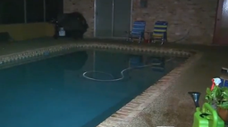 Un niño de 3 años murió ahogado en una piscina de una vivienda de la ciudad de Coral Springs, al norte de Miami. (Imagen tomada de un video de Local 10).