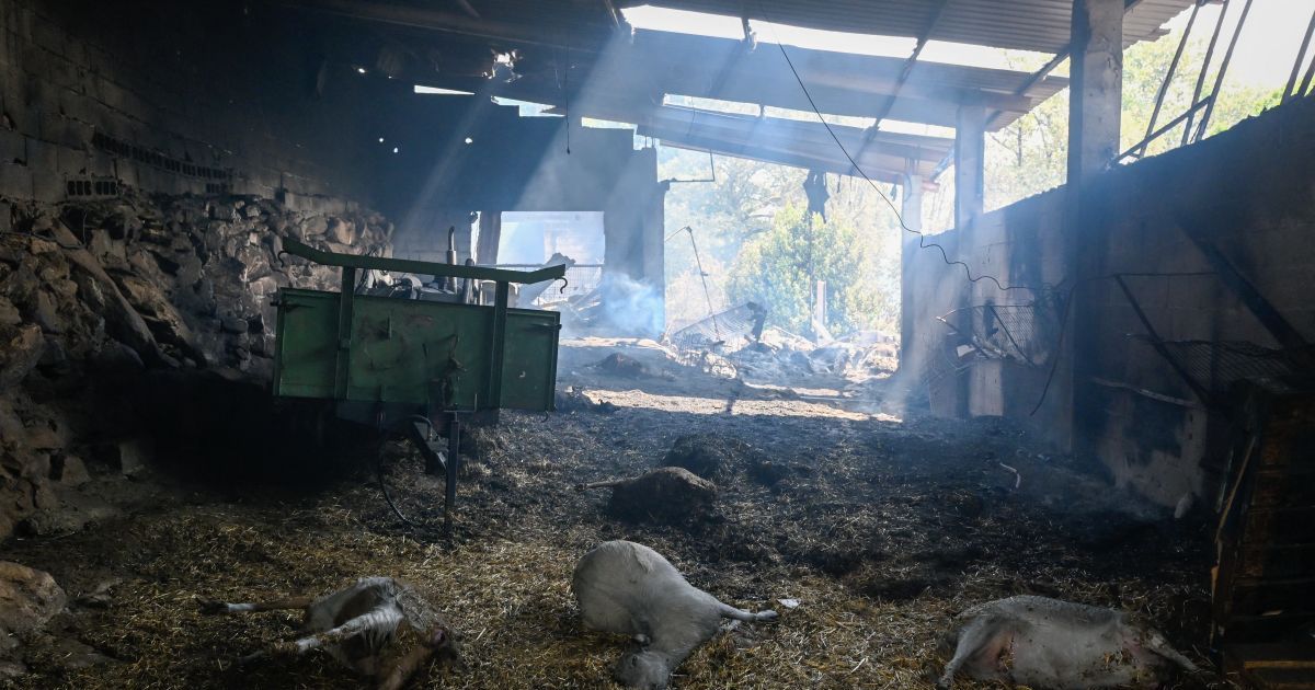 El sur de Europa se consume entre incendios y calor