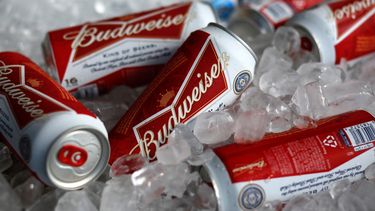 En esta foto del 5 de marzo de 2015, latas de cerveza a la venta en el estadio McKechnie en Bradenton, Florida. Los organizadores del Mundial de Catar han prohibido la venta de cerveza con alcohol en los ocho estadios del torneo.&nbsp;