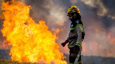 Imagen de archivo que muestra un incendio forestal.