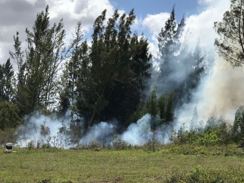 El fue ha sido controlado por los bomberos de Miami-Dade.