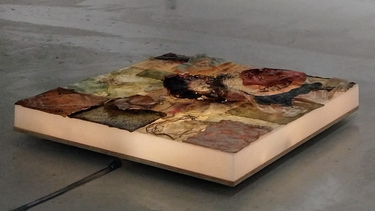 Obra de Verónica Riedel.&nbsp;