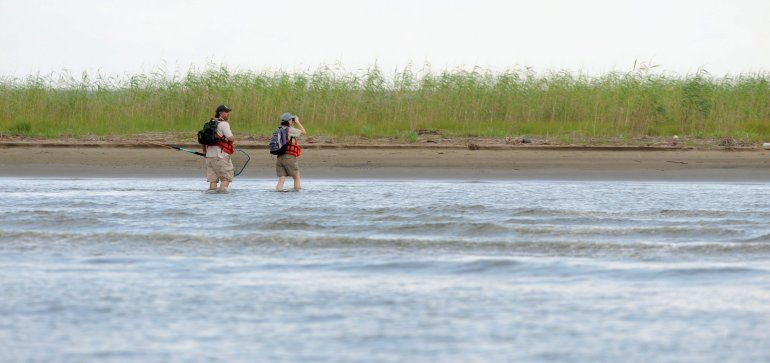 El Golfo De Mexico Podria Albergar Segunda Mayor Zona Muerta De La Historia