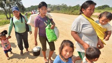 detienen a indigena de la comunidad chiman por comerse el corazon y la lengua de un piloto