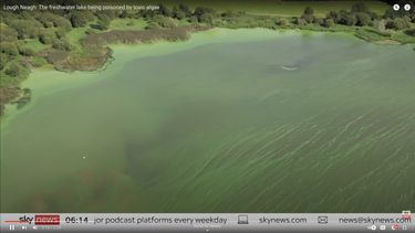 Una captura de pantalla de un video de Sky News en YouTube muestra el estado del lago Neagh a causa de las algas tóxicas. 