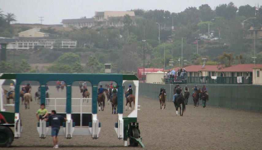 Varios&nbsp;trabajadores, en su mayoría&nbsp;hispanos, cuidan de los caballos pura sangre participantes en una competición de San Diego.