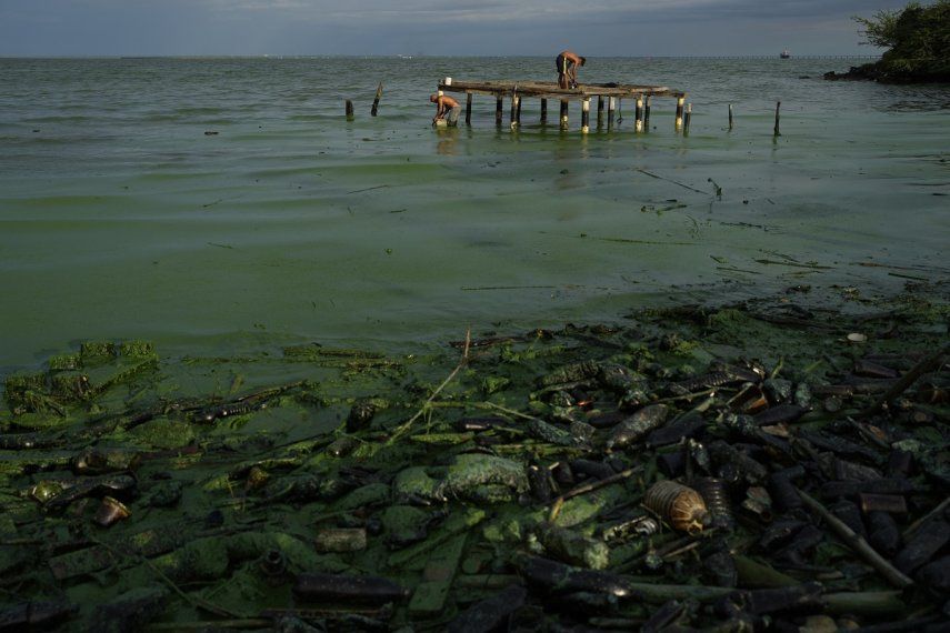 Una capa gruesa de verdín cubre basura y plásticos contaminando el agua del Lago de Maracaibo, mientras los pescadores preparan su carnada, en Maracaibo, Venezuela, el jueves 10 de agosto de 2023. La contaminación en torno al lago, uno de los más grandes de América Latina, es resultado de décadas de excesiva explotación petrolera en su lecho, mantenimiento inadecuado y falta de inversión en una infraestructura obsoleta, según ambientalistas. 