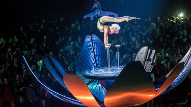 El responsable de Cirque du Soleil aseguró que la productora es conocida por su capacidad de desarrollar en profundidad contenido de calidad.