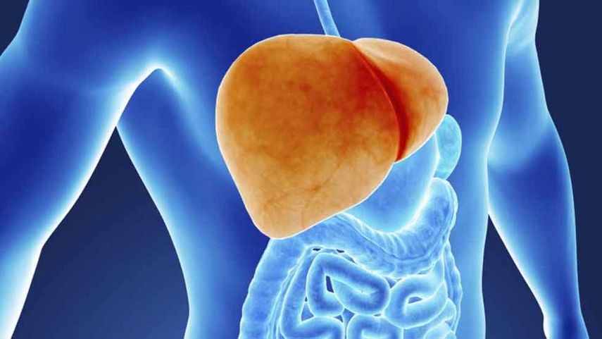 El 20% de las personas con diabetes muestran una fibrosis hepática muy importante