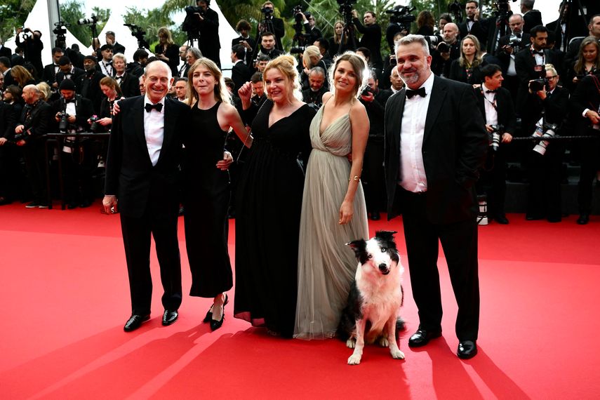 Messi, el perro estrella de la película Anatomie dune Chute (Anatomía de una caída), posa con su entrenadora de perros francesa Laura Martin e invitados a su llegada a la ceremonia de inauguración y la proyección de la película Le Deuxieme Acte en la 77 edición del Festival de Cine de Cannes en Cannes, sur de Francia, el 14 de mayo de 2024.