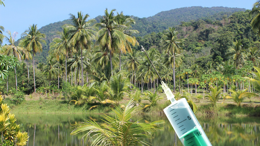 Colombia analiza la posibilidad de adelantar la vacunación en Amazonas debido a la propagación de la nueva cepa brasileña del COVID-19