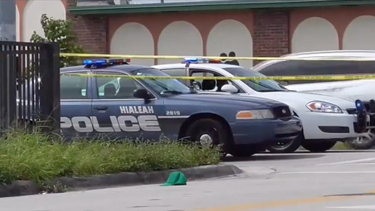 El conductor se dio a la fuga tras atropellar al anciano.&nbsp;