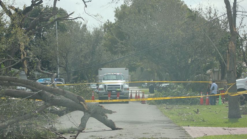 La caída de varios árboles como consecuencia de los fuertes vientos de la madrugada de este lunes en la ciudad de Miami Springs detuvo el tránsito en algunas vías.