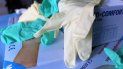 Ladrones robaron más de 6 millones de guantes, con valor de 1 millón de dólares en Coral Spring, Florida. Ladrones robaron más de 6 millones de guantes, con valor de 1 millón de dólares en Coral Spring, Florida.