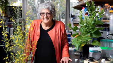 La bióloga estadounidense&nbsp;Joanne&nbsp;Chory, una de las ganadoras del Premio Princesa de Asturias de Investigación Científica y Técnica 2019, en el laboratorio de Biología Molecular y Celular de Plantas en la Jolla, California.
