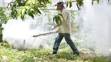 La barriada de Wynwood fue fumigada durante varias semanas.
