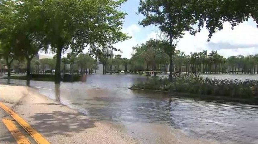El popular centro comercial prevé abrir sus puertas este sábado.