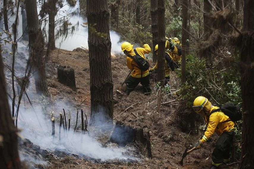 Los bomberos combaten un incendio en la región chilena del Biobio.