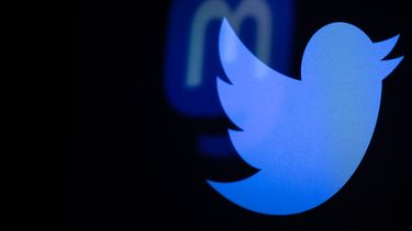 Elon Musk ahora subastará los activos de Larry el pajarito azul de la marca Twitter&nbsp;