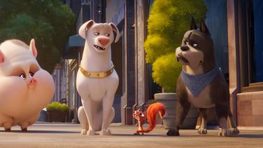 En esta imagen proporcionada por Warner Bros Pictures, los personajes Merton, una tortuga con la voz de Natasha Lyonne; PB, una cerdita con la voz de Vanessa Bayer; el perro Krypto, con la voz de Dwayne Johnson; Chip, una ardilla con la voz de Diego Luna, y Ace, un perro con la voz de Kevin Hart, en una escena de DC League of Super Pets.