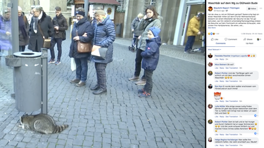 Las personas comenzaron a rodear al mapache para tomarle fotos mientras el animal se mov&iacute;a visiblemente afectado.&nbsp;