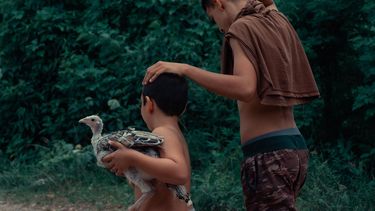 Los ni&ntilde;os en Cuba no tienen la alimentaci&oacute;n adecuada.&nbsp;