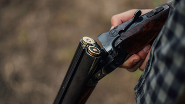 Asesinan a 5 miembros de una familia en México