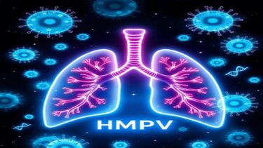 Metapneumovirus humano, virus respiratorio &nbsp;