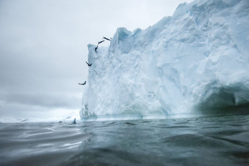 Efecto de multiexposición que muestra el trayecto del clavadista desde que salta desde un icebergs