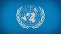 Emblema de la Asamblea General de la ONU.