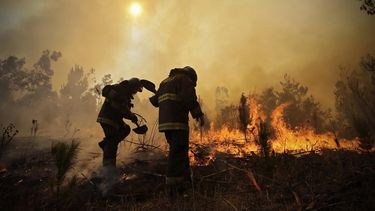 En las últimas semanas se desató en Chile una oleada de focos de fuego, que causaron la muerte de once personas, dejaron más de 7.000 damnificados y destruyeron más de 1.600 viviendas.