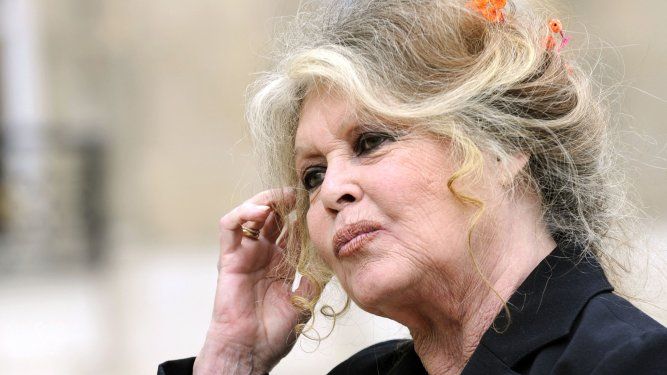 La actriz francesa y activista por los derechos de los animales Brigitte Bardot abandona el Palacio del Elíseo en París después de una reunión con el presidente francés Nicolas Sarkozy, el 27 de septiembre de 2007.