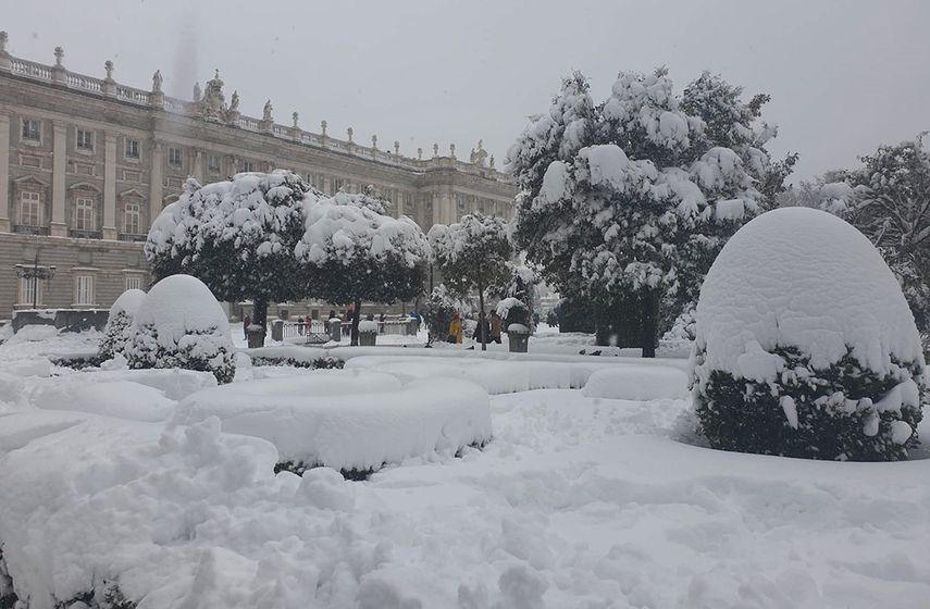 Frente al Palacio real, Madrid.