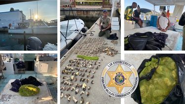 Agentes de la&nbsp;Comisi&oacute;n de Conservaci&oacute;n de Vida Silvestre y&nbsp;Pesca&nbsp;de&nbsp;Florida&nbsp;arrestaron a los cazadores furtivos de langosta y cangrejo.&nbsp;