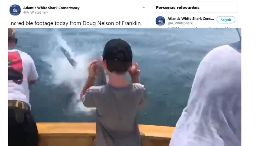Captura del video publicado en la cuenta de Twitter @A_WhiteShark sobre el encuentro de una familia en&nbsp;Cape Cod Bay con un tiburón.&nbsp;
