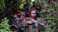 Avanzan gobierno de Colombia y guerrilla ELN con acercamientos de paz (foto referencial).