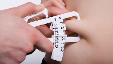 Los trigilceridos son grasas generadoras de energía, pero en exceso, dañan el corazón  y el cerebro. (ARCHIVO)