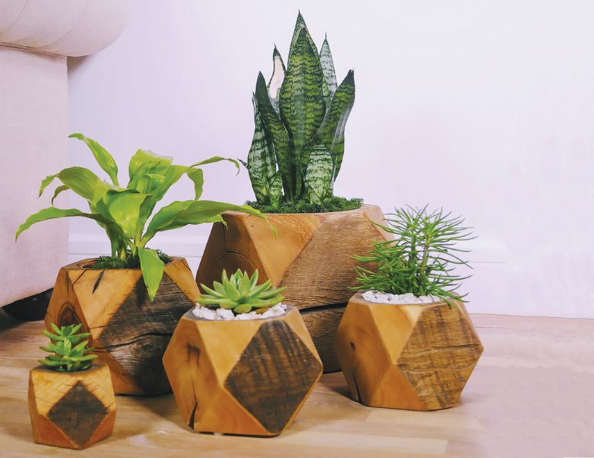 Macetas decoracitvas de madera.