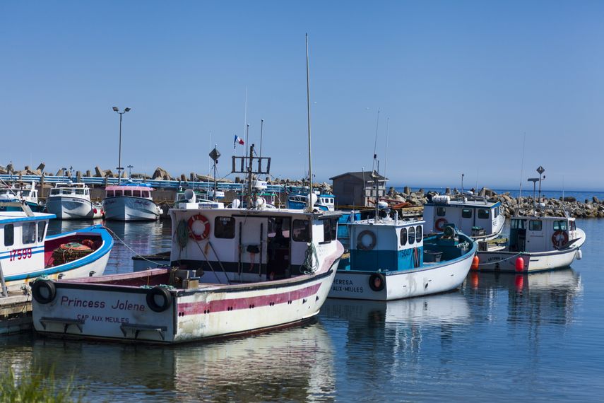La temporada es muy agotadora para los pescadores, cuenta&nbsp;Gilles Lapierre, que vive desde su infancia en el pequeño archipiélago y cuyo árbol genealógico incluye hasta nueve generaciones de franceses