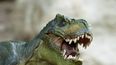 Los dinosaurios primitivos ya vivían en manada
