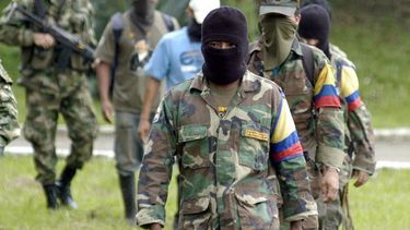 Las FARC sólo han presentado cinco proyectos al Consejo Nacional de Reincorporación para su evaluación y aprobación.