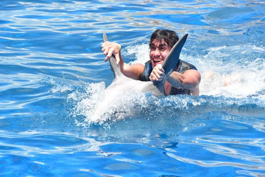 En Marineland Dolphin Adventure también puede nadar con los delfines.&nbsp;