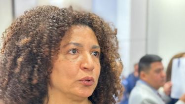 Diario las Américas | María Teresa Morín