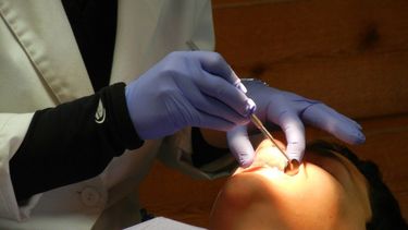 Una dentista revisa la dentadura de un paciente