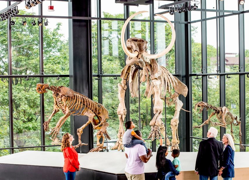 El museo fue ampliado para acoger la que ahora es la mayor muestra de arte asi&aacute;tico en Estados Unidos.&nbsp;