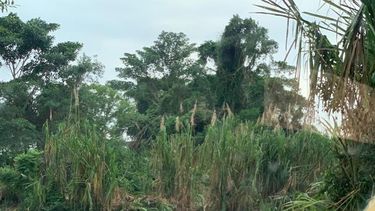 El diputado de la oposición venezolana Richard Blanco tuvo que refugiarse en Colombia. En esta imagen compartida en su Twitter muestra como ingresó a territorio colombiano.&nbsp;