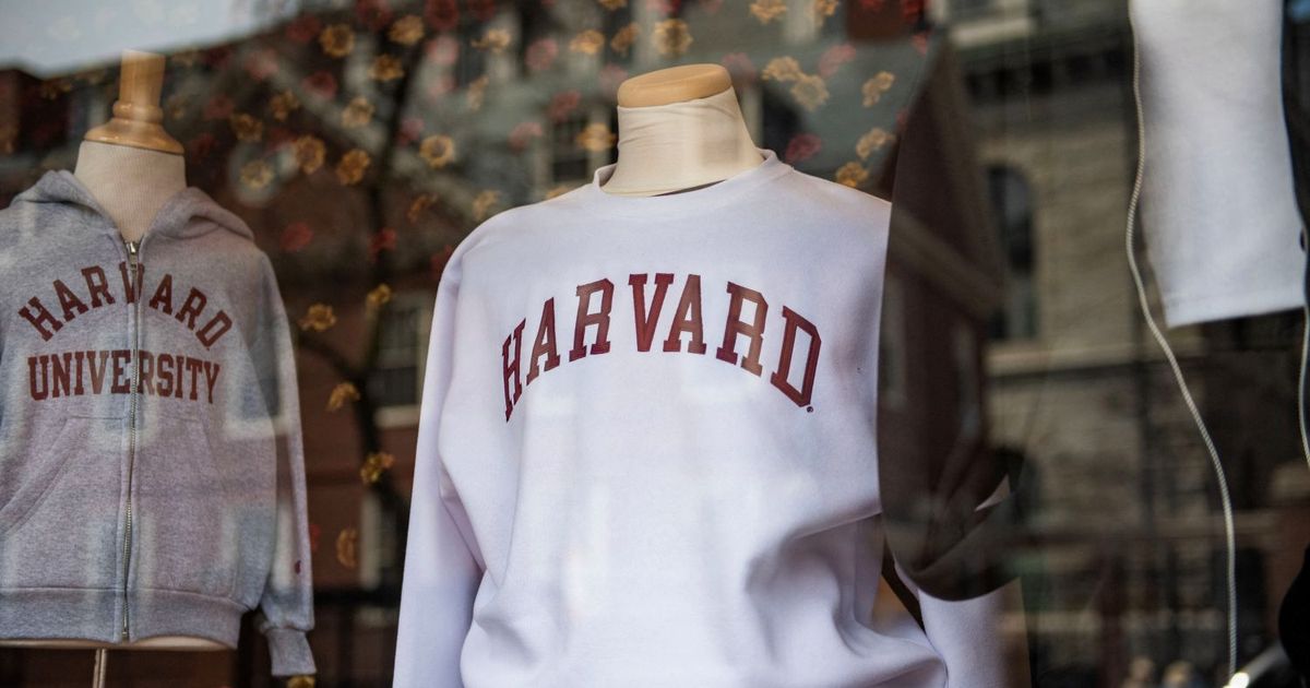 Harvard prepara investigación por graves problemas tras recorte de subvenciones