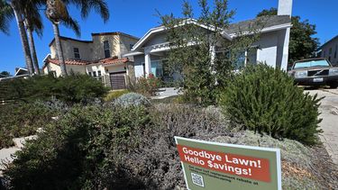 Un jardín regenerativo en el patio delantero que reemplazó un césped típico se ve en Los Ángeles el 21 de julio de 2022.&nbsp; &nbsp;